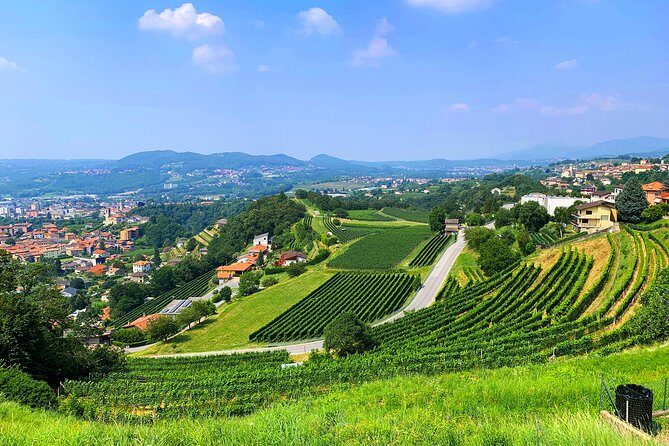 E-Bike Tour Lake Como and Swiss Vineyards - Villa Olmo Park to Cycling Lanes by the Lake: How You Start Strong