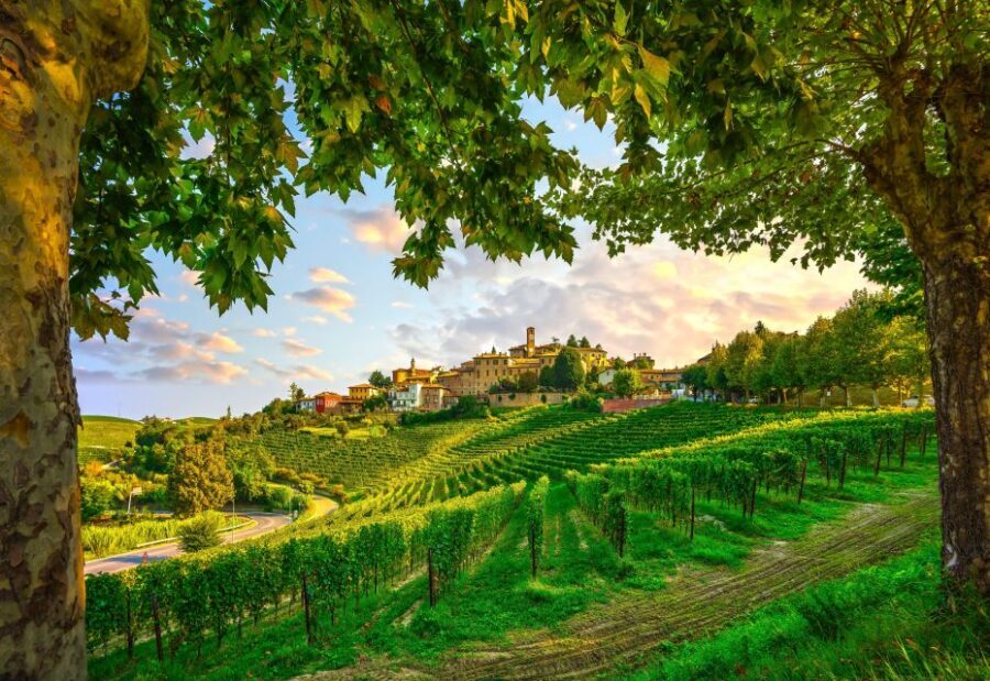 From Milan: Barolo Wine Tasting, Alba Tour and Castle Visit - Pickup and van timing: how to start the day without stress