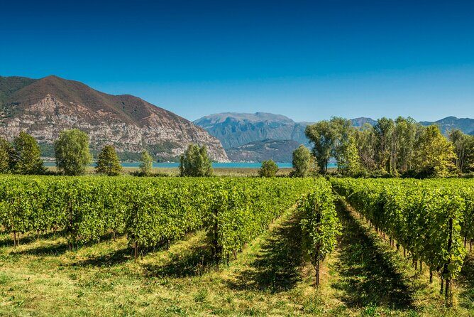 From Milan Full Day in Franciacorta 2 Wineries and Lunch - Why Franciacorta Feels Like More Than Just Wine Country Day Trips