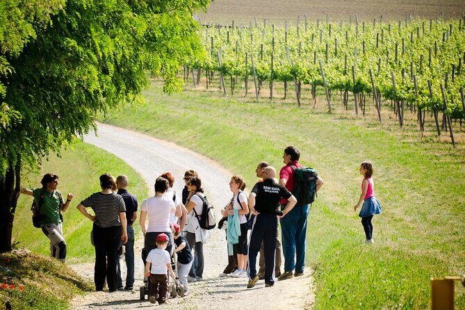 From Milan Full Day in Franciacorta 2 Wineries and Lunch - Who Should Book This Franciacorta Day and Who Should Think Twice