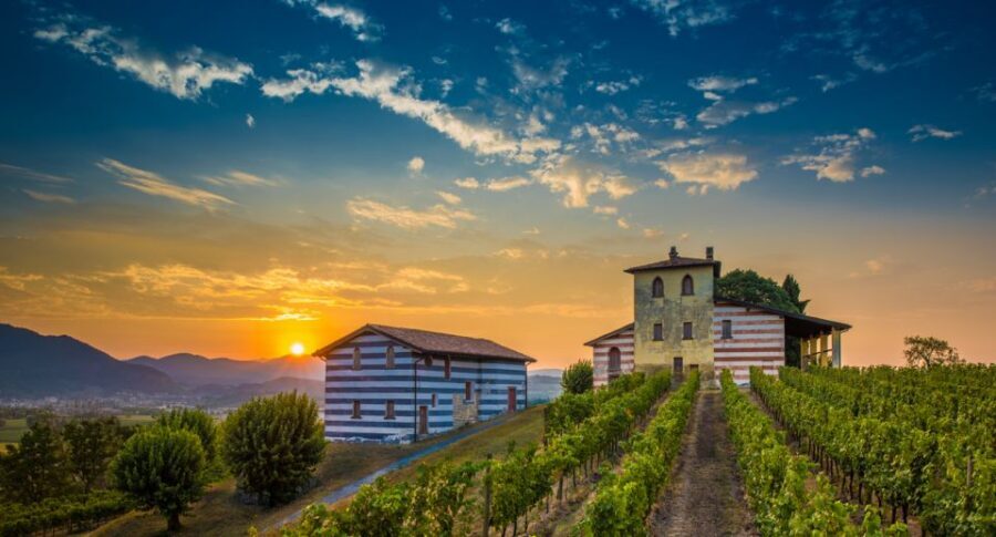 From Milan: Full Day in Franciacorta. 2 Wineries & Lunch - Key things to know before you go