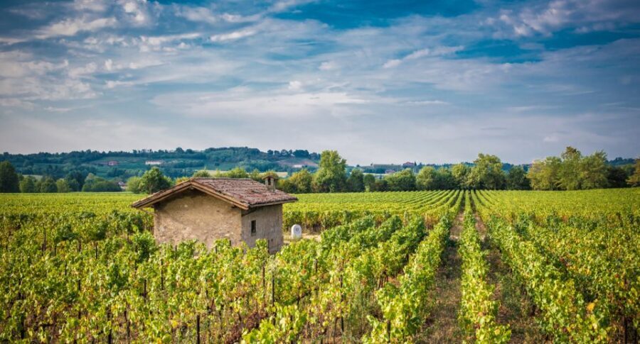 From Milan: Full Day in Franciacorta. 2 Wineries & Lunch - Ronco Calino Winery: soil talk, cellar time, and a first sparkling comparison