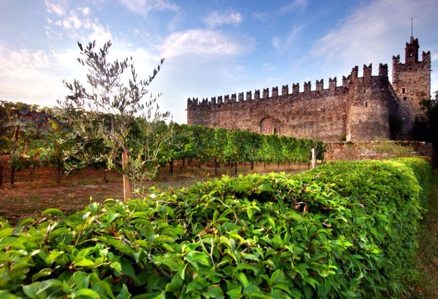 From Milan: Full Day in Franciacorta. 2 Wineries & Lunch - Is this good value for $373.84 per person?