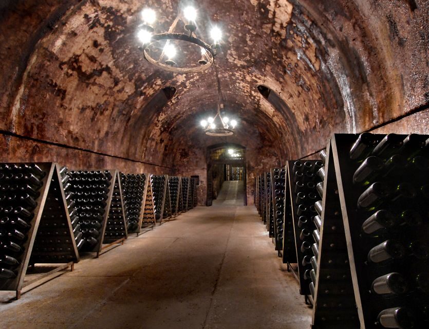 From Milan: Full Day in Franciacorta. 2 Wineries & Lunch - Should you book this Franciacorta tour?