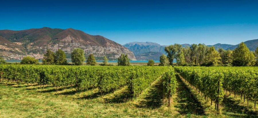 From Milan: Full Day in Franciacorta. 2 Wineries & Lunch - Getting from Bignami to Lake Iseo: the minivan ride, Wi‑Fi, and panoramic stops