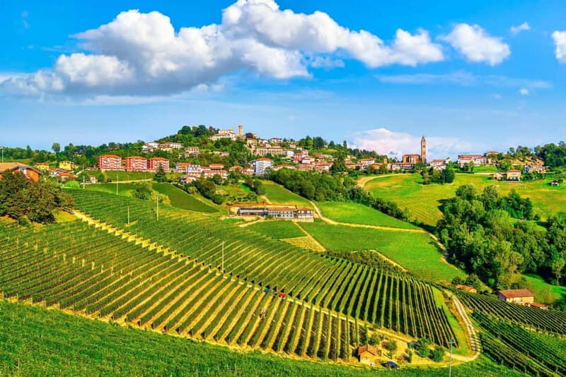 From Milan: Langhe Wine Region Day Trip with Barolo Tasting - Barolo free time (Apr–Oct): wine boutiques, hilltop views, and real town life