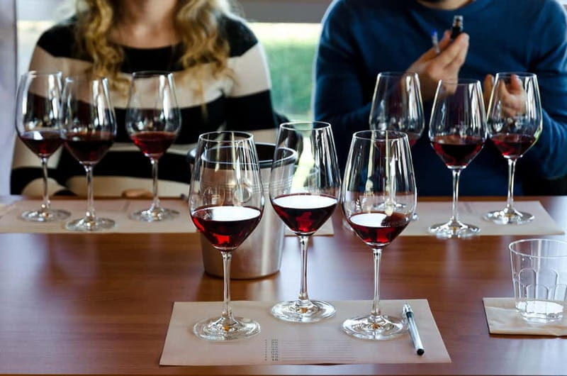 From Milan: Langhe Wine Region Day Trip with Barolo Tasting - Inside a family-run Langhe winery: the six-glass tasting that teaches you how to taste