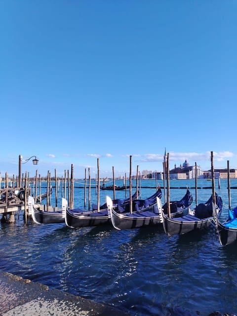 From Milan: Venice City Highlights Guided Day Trip - Getting started in Milan: meet near Excelsior Hotel Gallia
