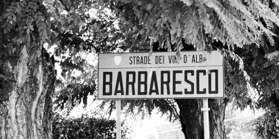 Full-Day Barbaresco Wine Tour with Truffle Hunting and Lunch - Truffle hunting near Alba: what you learn and what to wear