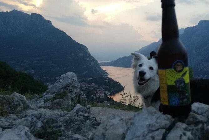 Hike & Beer: beer tasting & breathtaking views at sunset - Should you book this tour?