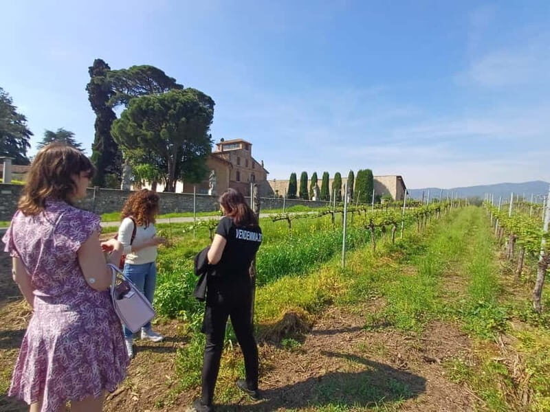 Milan: Brescia & Franciacorta with Wine Tasting Small Group - Why this Milan-to-Franciacorta day trip actually works