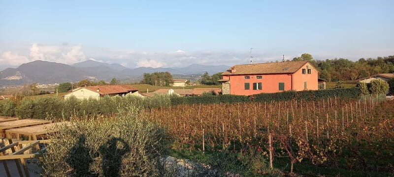 Milan: Brescia & Franciacorta with Wine Tasting Small Group - The 3.5 hours of free time: use it for shopping and your own pace