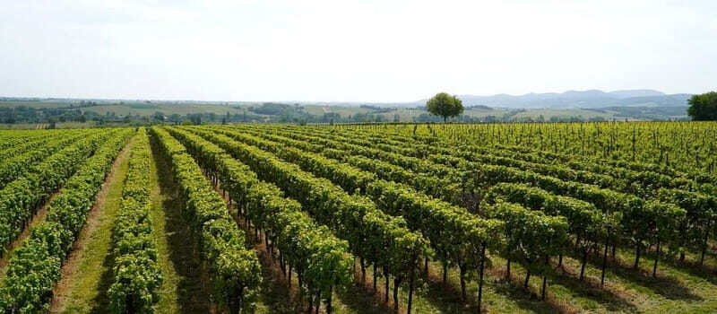 Milan: Brescia & Franciacorta with Wine Tasting Small Group - Transfer time and countryside change of scenery