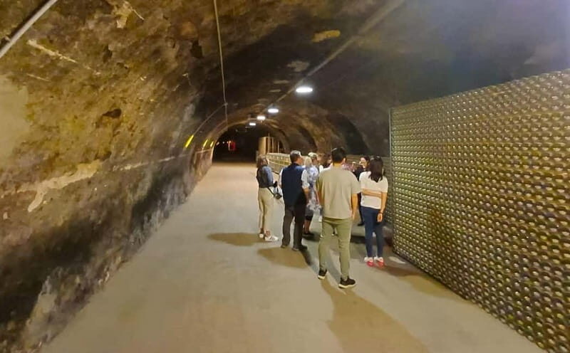 Milan: Brescia & Franciacorta with Wine Tasting Small Group - Price and value: where $214.11 per person makes sense