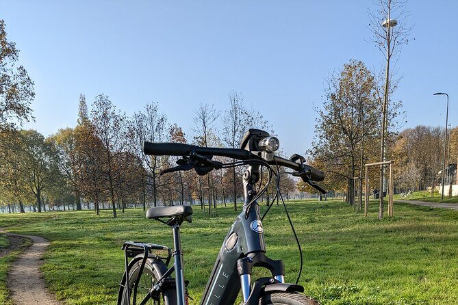 Milano e l'acqua. Tour dei parchi milanesi - Parco di Trenno and Boscoincittà: green Milan that feels calmer