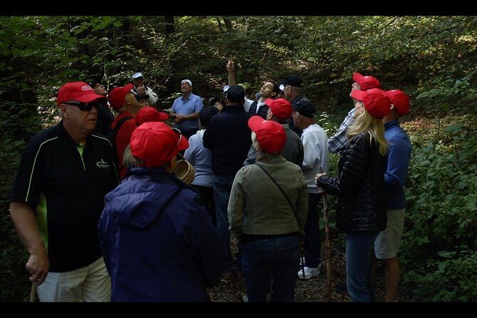 Mushroom or Truffle Hunting - Into the Woods: How the Hunt Actually Plays Out