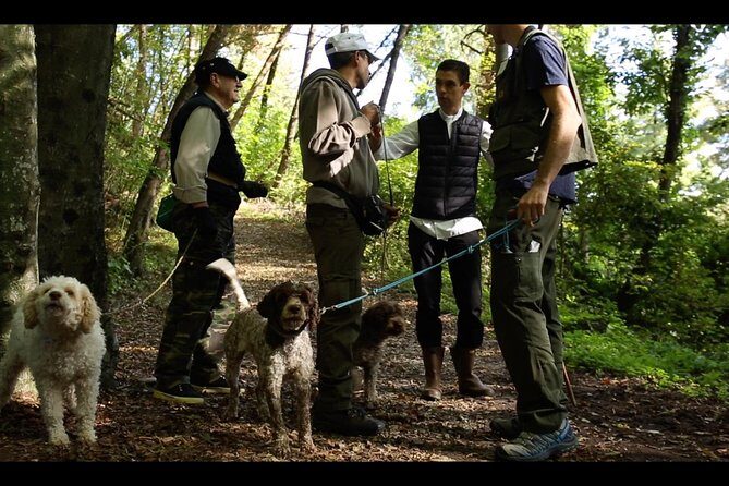 Mushroom or Truffle Hunting - Dog-Assisted Foraging: The Part Kids Love (and Adults Respect)