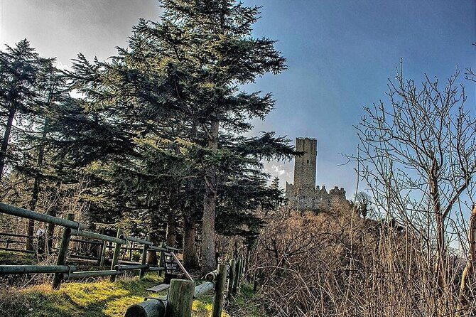 Private 2-Hour Tour of the Medieval Castle over Lake Como - Price and What You Truly Get in 2 Hours