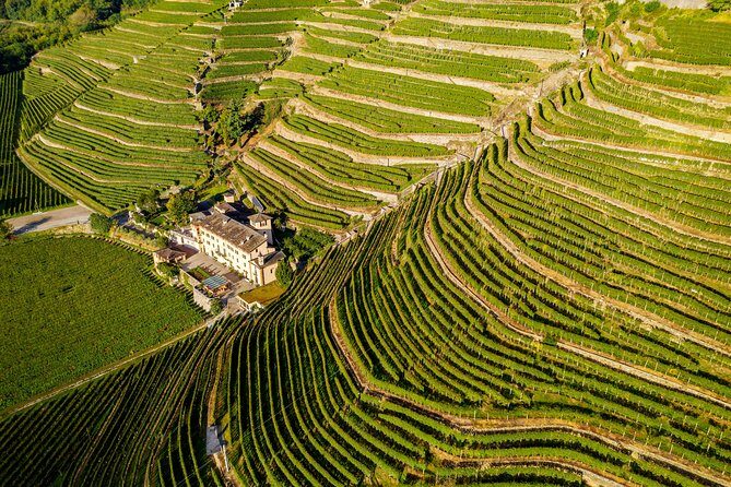 Private Lake Como Experience with Luca - Optional wine and cheese upgrades: the value of local connections