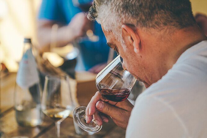 Private Langhe and Barolo Wine Tour from Milan - Why this Langhe and Barolo day from Milan feels easy