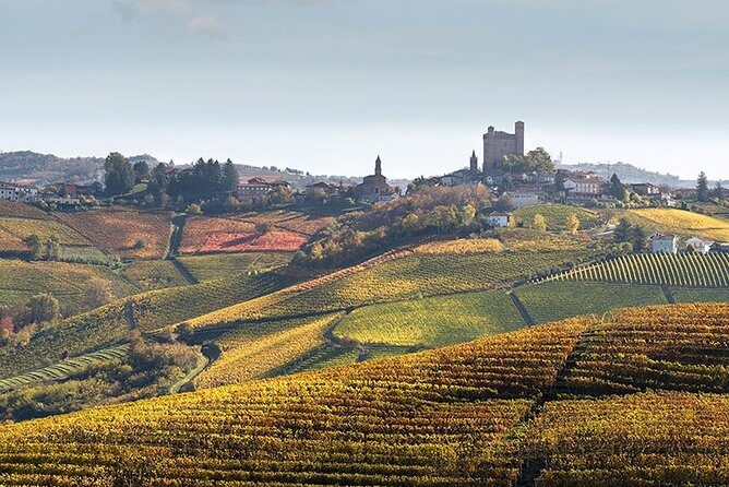 Private Langhe and Barolo Wine Tour from Milan - Price and value: what makes $1,179.50 per person make sense