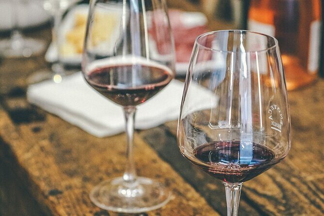 Private Langhe and Barolo Wine Tour from Milan - Who this tour is best for