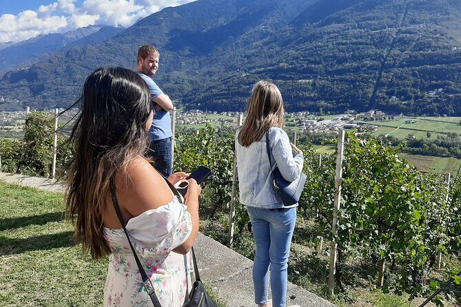 Private Wine Tour: Terraced Vineyards with Alpine view from Milan - The Valtelline Wine Road Drive: Where the Views Get Context
