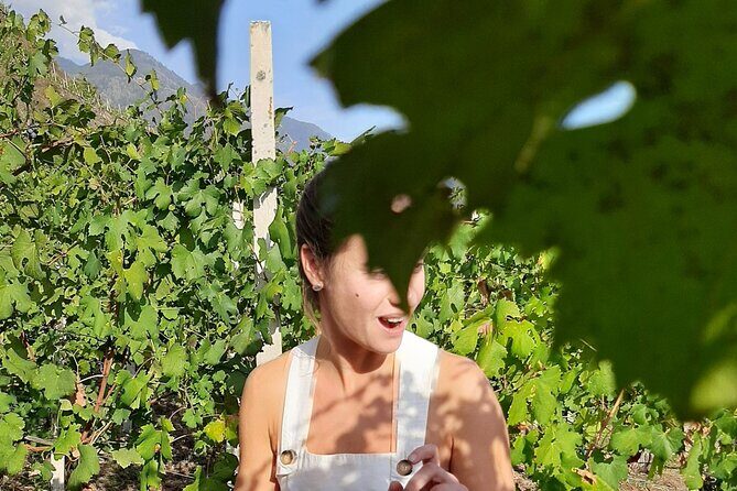 Private Wine Tour: Terraced Vineyards with Alpine view from Milan - Winery Visit #1: Learning to Taste, Not Just Drinking
