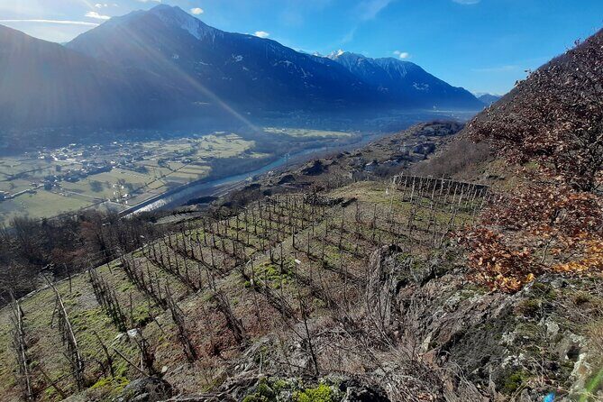 Private Wine Tour: Terraced Vineyards with Alpine view from Milan - Another Valley Drive: Short Transit, Big Atmosphere