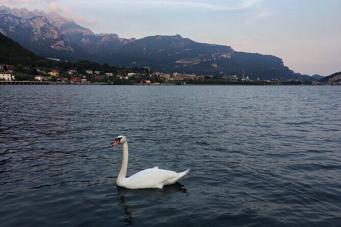 Sailing at Sunset on Lake Como: How to escape from daily routine - Meet Isabella and Mauro: hosts who shape the pace