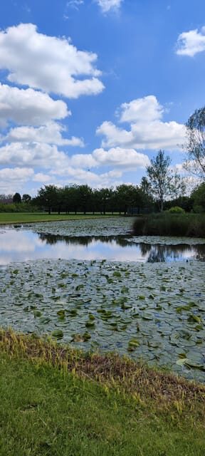 Trekking in the Wood with picnic on the turtles lake - Price and value: $30.10 for a guided nature pause