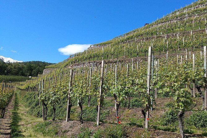 Wine and Food tasting PRIVATE Guided Tour - Giovanni Menna’s private driver + guide setup (the real value)